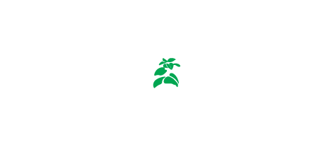Bacilicò logo